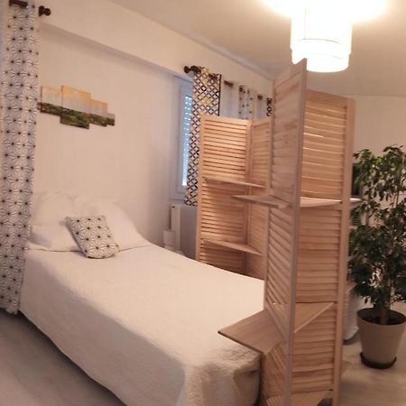 Grand Studio, Super Equipe, 2 Pas Du Centre-Ville "Clos-Du-Boulanger" - Parking Prive Montbeliard Luaran gambar